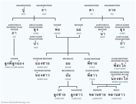 thai language family tree